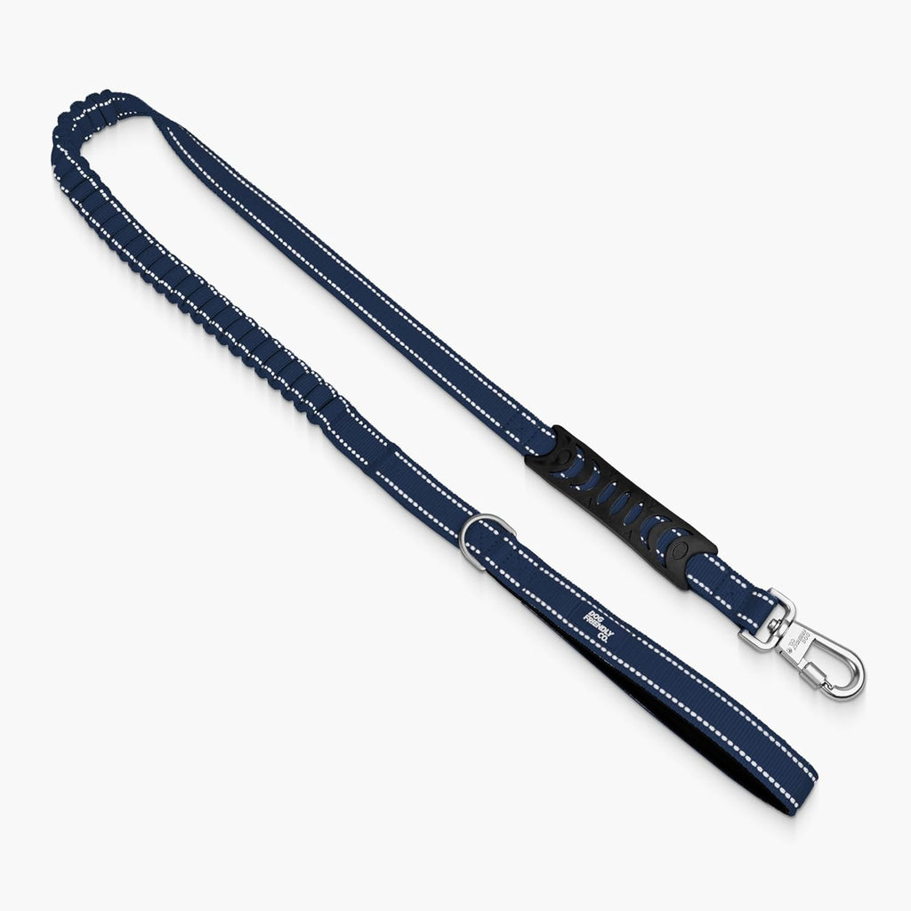 Dog Friendly Co. Bungee Dog Leash | Strain Free & Shock Resistant for Control | Neoprene Padded Handle, Heavy-Duty Carabiner Clip, and D-Ring | Khaki, Size Regular - Image 12