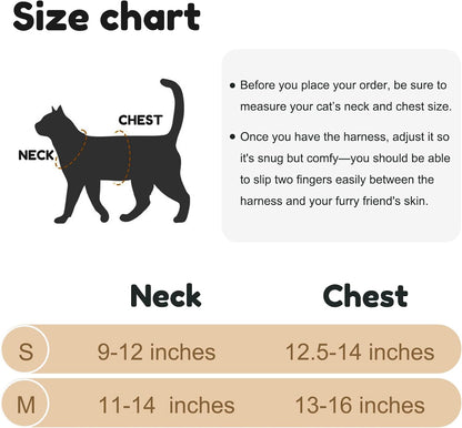 Echo Pounce premium cat adventure harness being fitted on a pet safely.