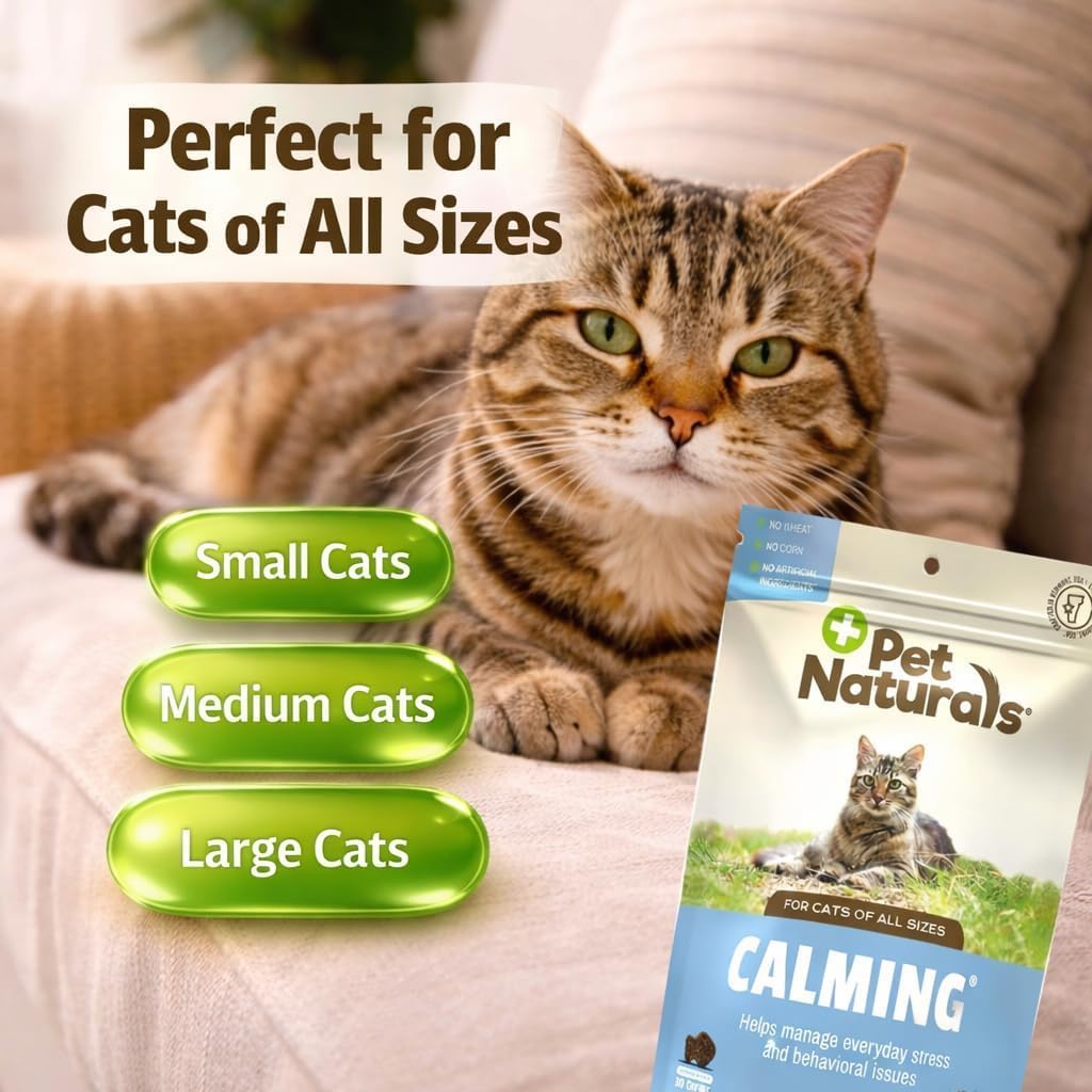 Bite sized chicken liver flavored anxiety relief soft treats for cats of all sizes