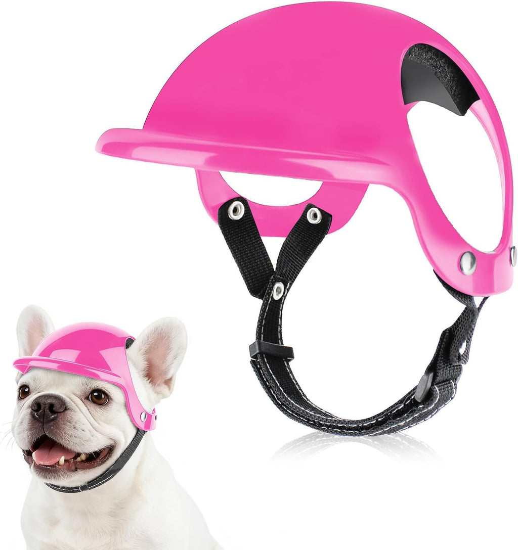 Lesypet dog helmet shown on a Chihuahua