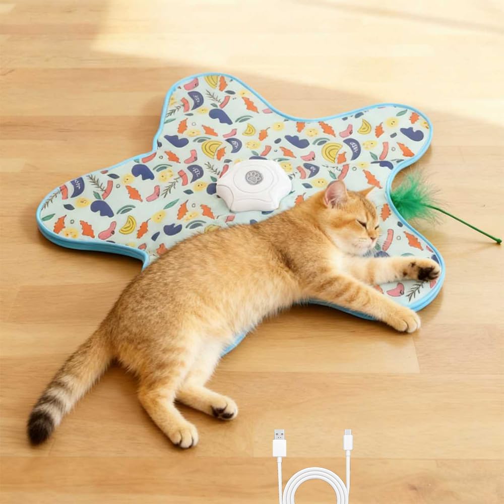 OpriQ electronic touch activated kitten toy showing close-up details of the Type-C charging port and control button.