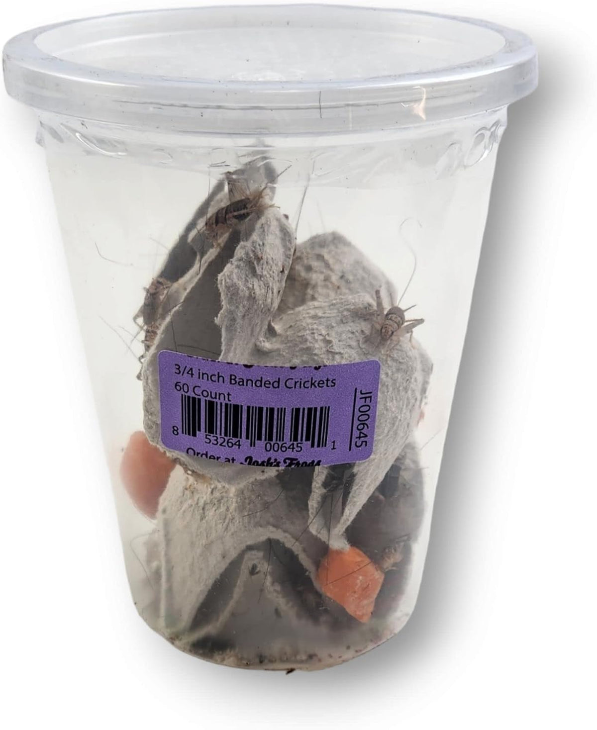 Josh's Frogs 3/4" Banded Feeder Crickets for Pets (500 Count) | Long Storage Protein Food Crickets, Healthy Active Prey for Leopard Geckos, Bearded Dragons, Tree Frogs, Frogs, Birds, Bats - Image 9