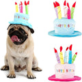 Secfanya cute dog birthday cake hat blue front view