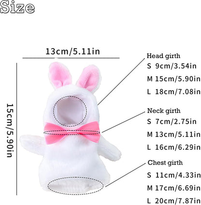 Authentic imported pet holiday apparel setup ideal for festive bird photography.