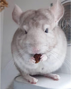 Exotic Nutrition small animal treat bag with ingredients visible