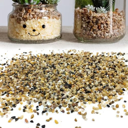 Natural quartz sand used as aesthetic fish tank substrate
