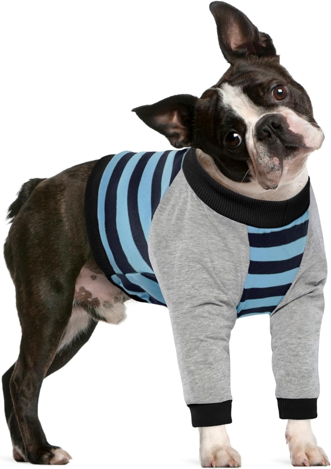 FUAMEY Dog Recovery Sleeve with Elbow Protector,Dogs Shirt Stop Licking Joints,Pet Long Sleeve Suit Protecting Dog's Front Leg Arm Wounds Cover Skin Conditions Blue Stripe XL - Image 12