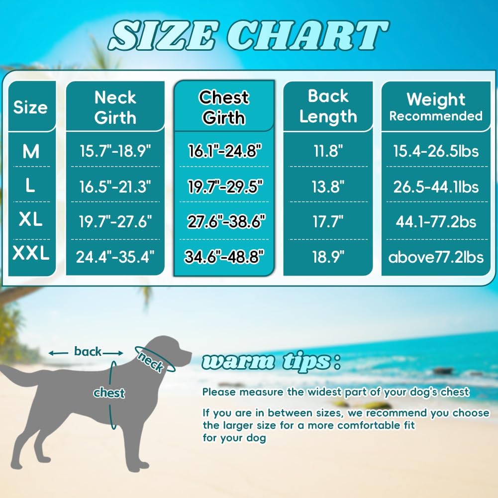 Close-up of the heavy-duty metal leash D-ring on the EMUST dog water coat.