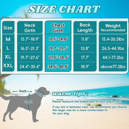 Close-up of the heavy-duty metal leash D-ring on the EMUST dog water coat.