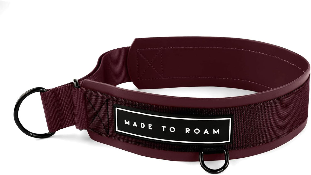 MADE TO ROAM Premium Everyday Dog Collar - Martingale Style No Pull Vegan Leather Collar, Heavy Duty and Lightweight for Small, Medium, Large Dogs (California Horizon, Size 7) - Image 12