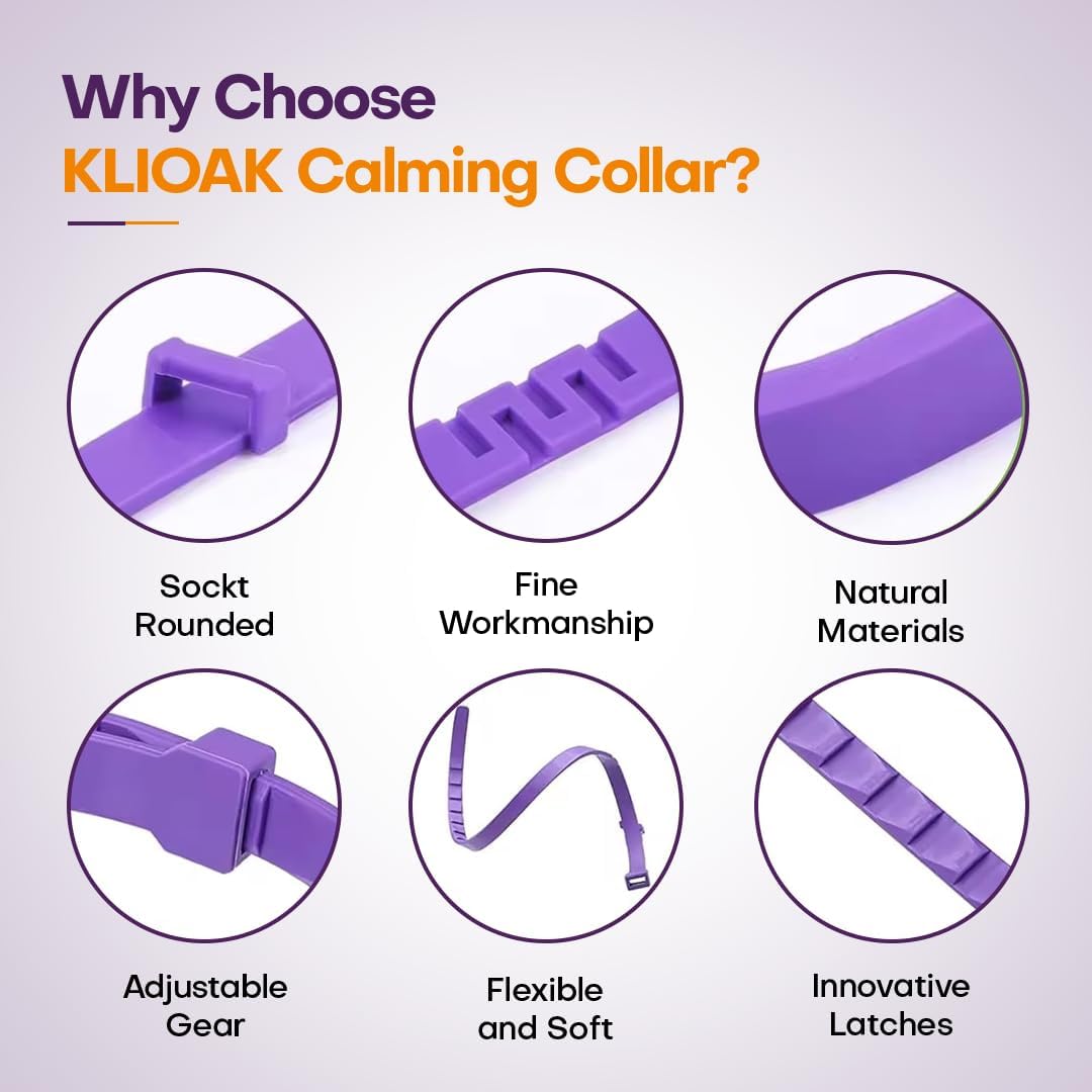 Natural chamomile and lavender infused cat collar reducing scratching behavior.