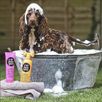 Authentic USA imported Pet Head dog care product packaging