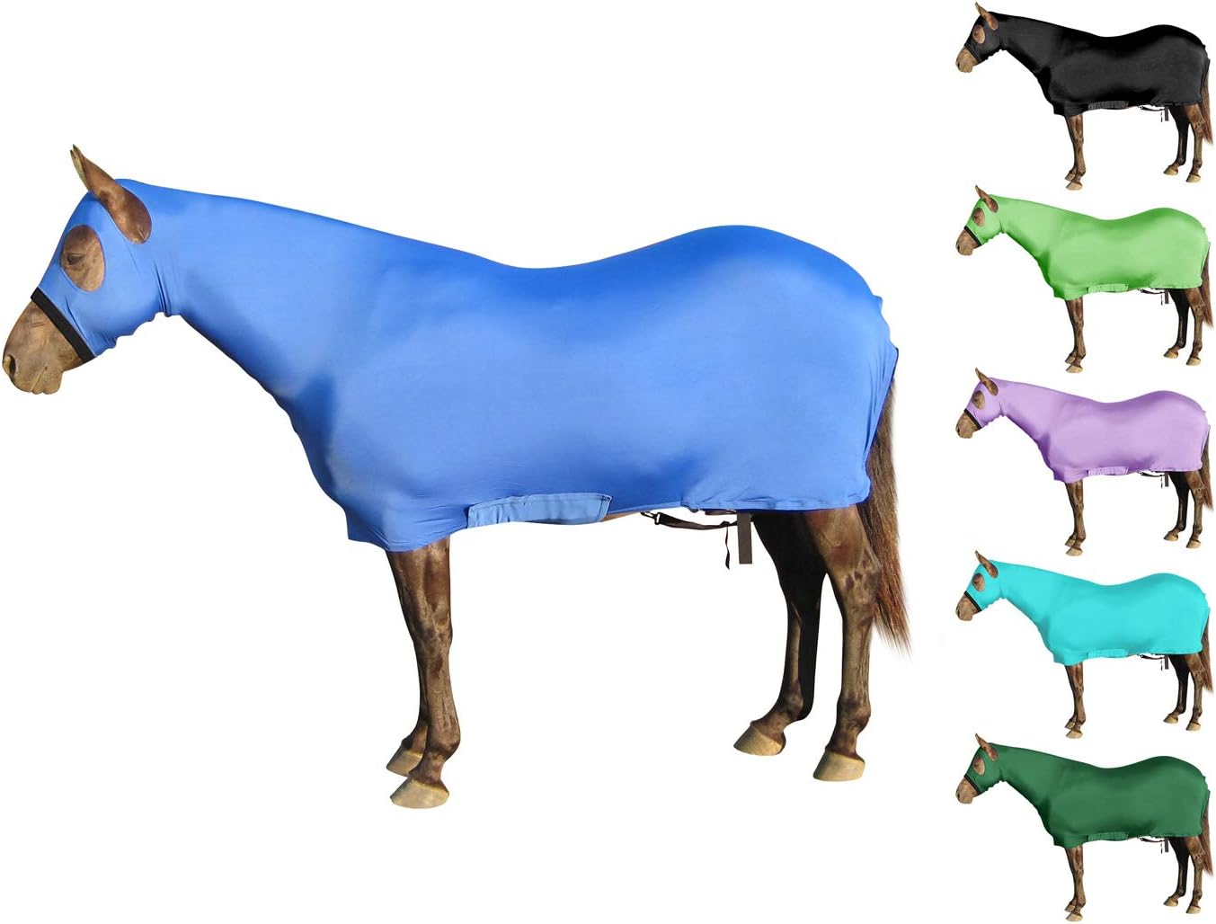 Paris Tack turquoise lycra horse sheet showing the adjustable rear leg strap attachments