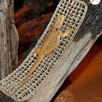 Silkfly thirty by seven inch reptile basking platform fiber weave detail