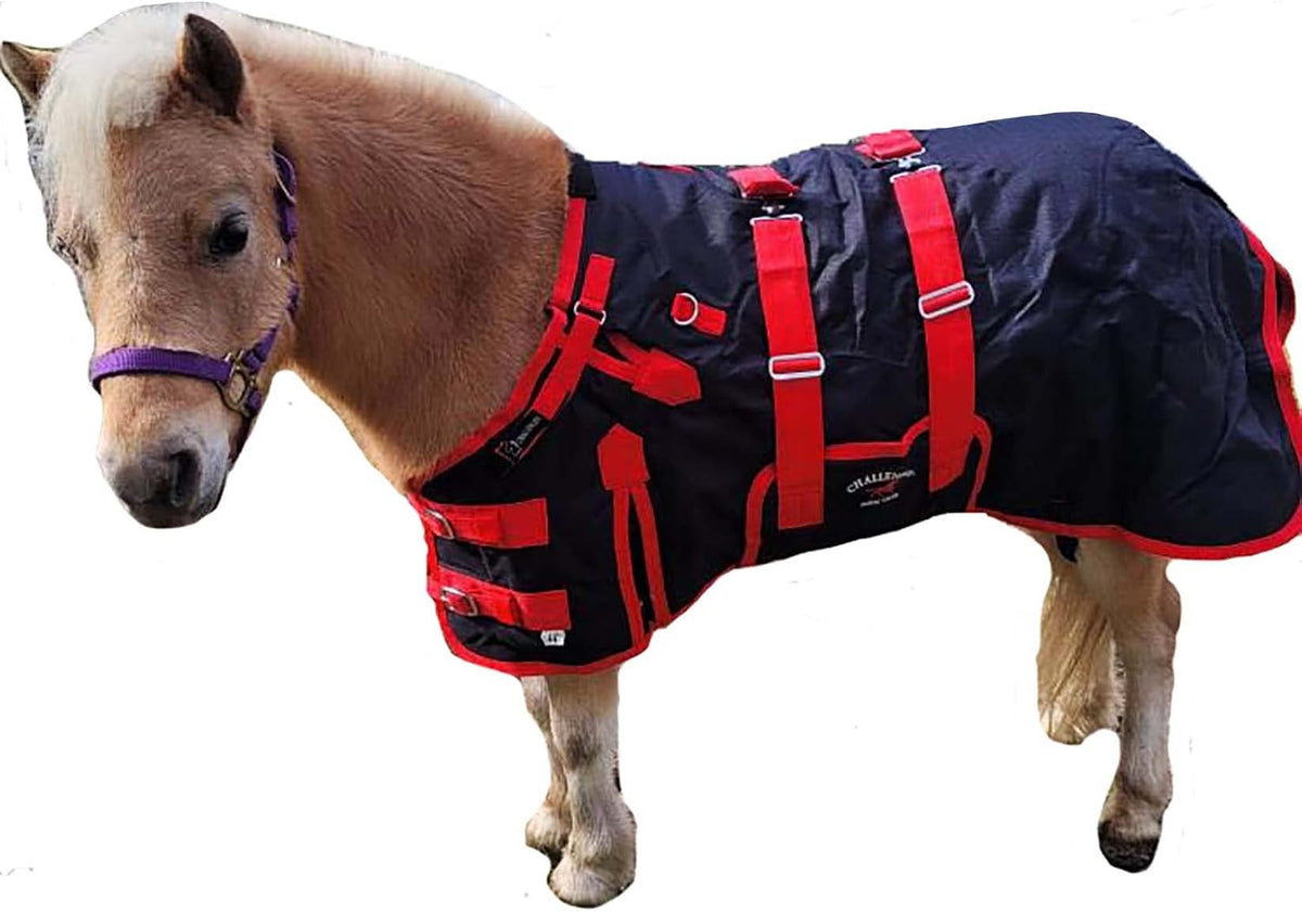 Challenger equestrian turnout blanket for weanlings and mini horses packaging