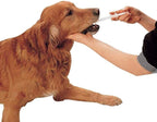 Two pieces of DS. DISTINCTIVE STYLE large dog pill dispenser on plain background