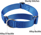 Durable cross-stitched construction on Hotlion dog training collar