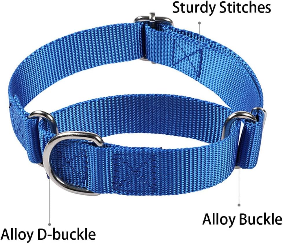 Durable cross-stitched construction on Hotlion dog training collar