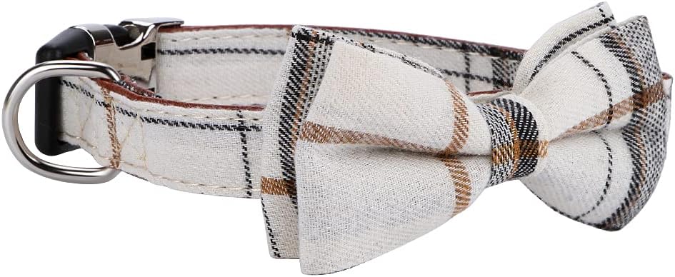 Faleela cotton floral dog collar details