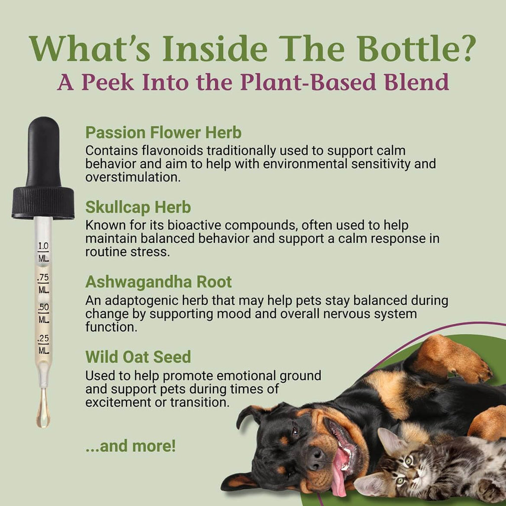 PetAlive herbal supplement bottle next to product box
