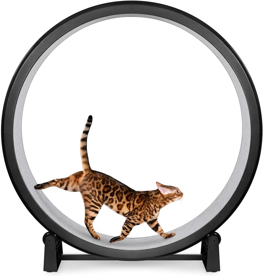 One Fast Cat Exercise Wheel Generation 7 front view black fitness track for indoor felines