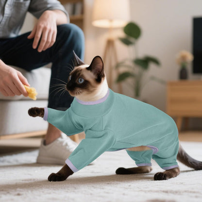 Extra large size Dentrun recovery suit for cats