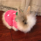 ANIAC guinea pig cozy winter clothes back length view
