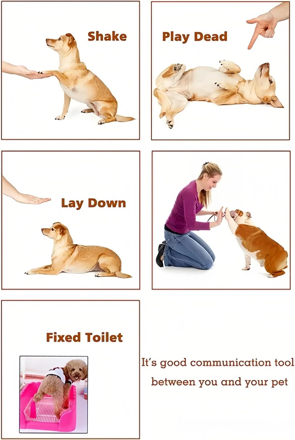 PetSpy behavioral pet training clicker with elastic wrist strap