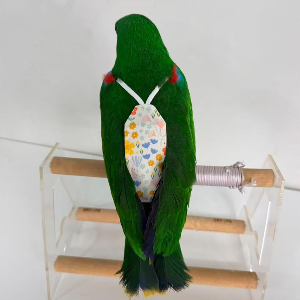 ZANTIE Pigeon Diaper Harness and Leash-Pigeon Pants - Image 4