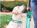 YOUALSO reflective nylon training lead with pink padded traffic handle
