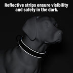 Plutus Pet Tactical Dog Collar, Reflective, Adjustable Heavy Duty Dog Collar, Soft Padded and Comfortable, for Small Medium and Large Dogs (Ranger Green, L) - Image 5
