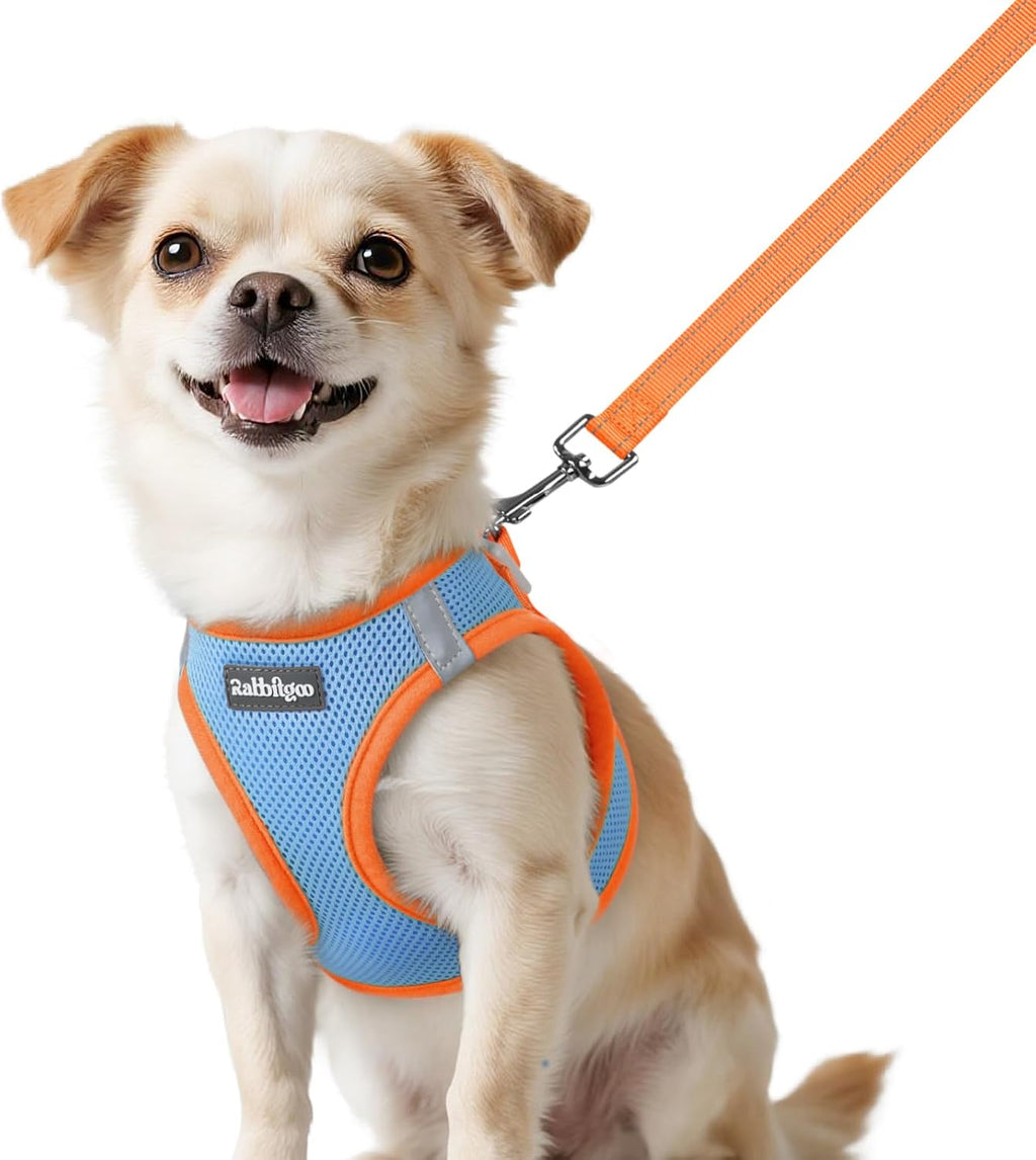 rabbitgoo Dog Harness Small Sized and Leash Set, Step-in Breathable Pet Harness, Soft Walking Reflective Puppy Vest for Small Dogs, Black & Rose Red, S - Image 15