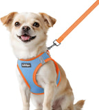 rabbitgoo Dog Harness Small Sized and Leash Set, Step-in Breathable Pet Harness, Soft Walking Reflective Puppy Vest for Small Dogs, Black & Rose Red, S - Image 15