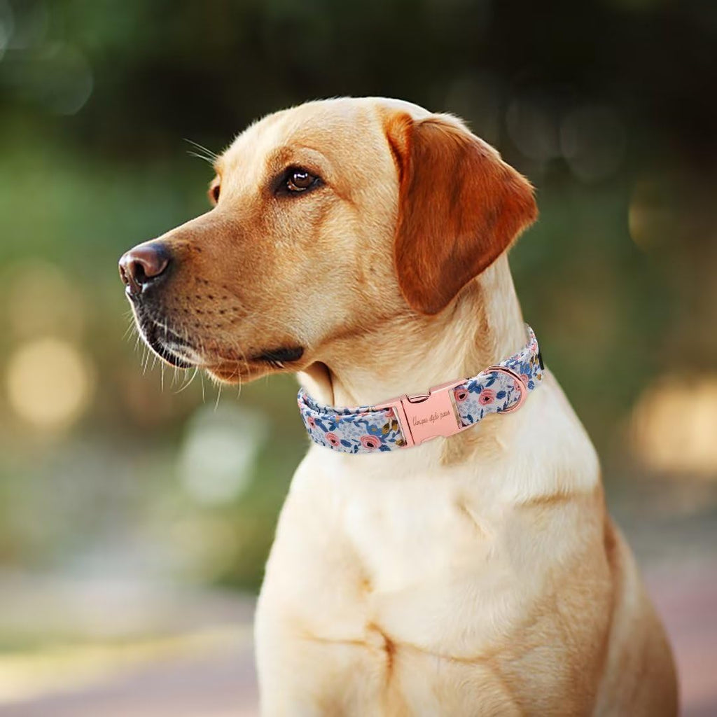 Side view showing adjustable metal hardware on dog collar