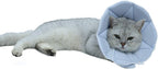 Premium imported pet recovery collar showing adjustable neck size closure
