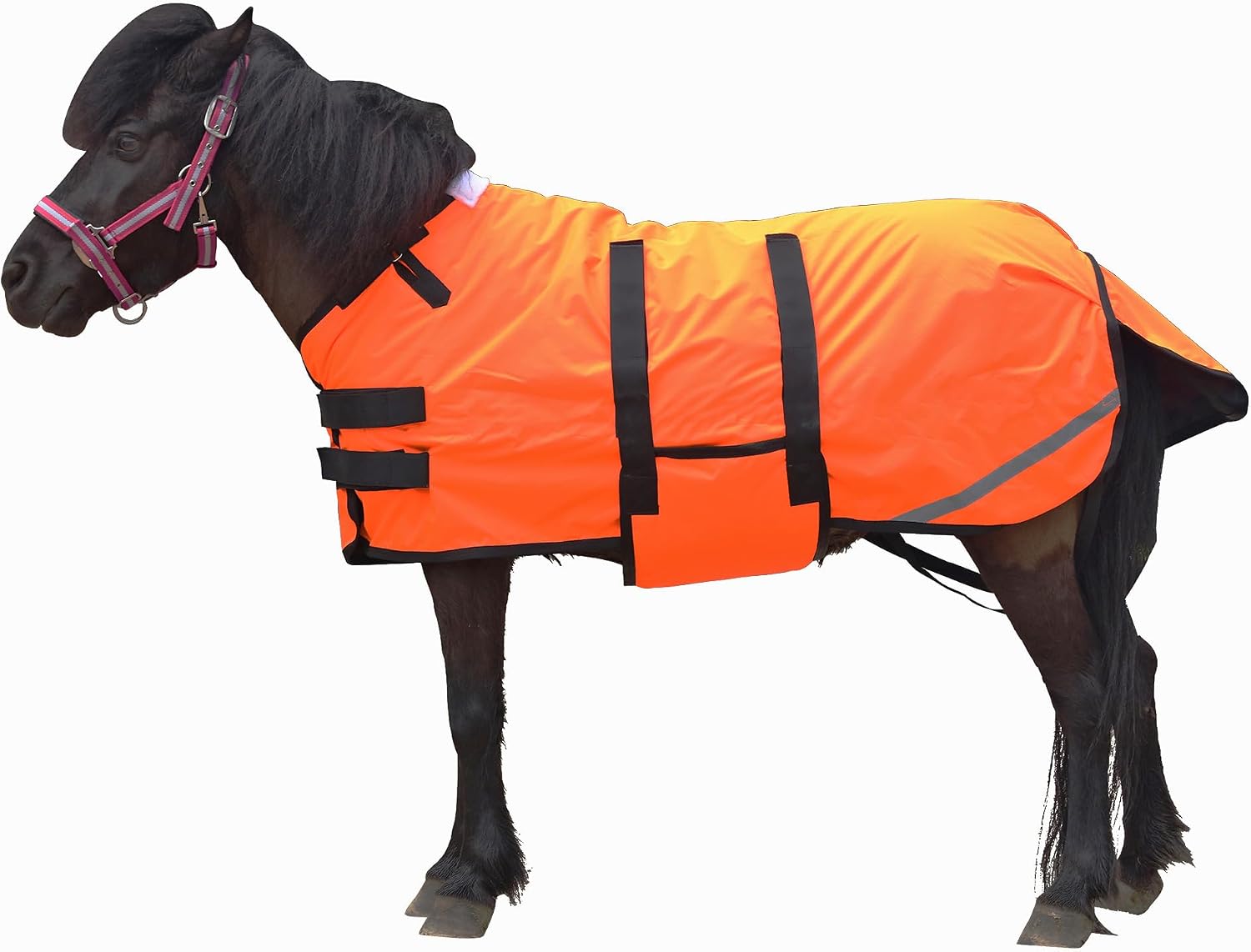 LEAFOREST 300 Denier Waterproof Pony Rug front view of the orange winter blanket