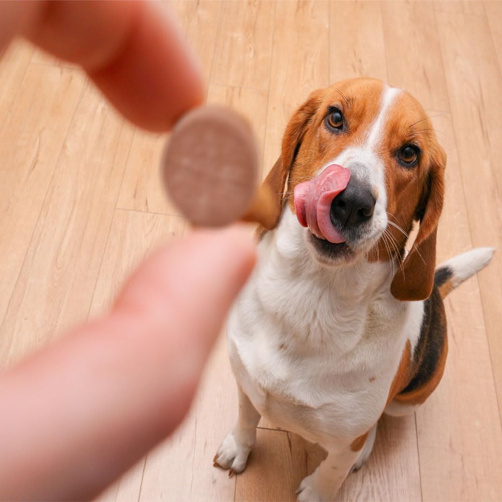Liver flavored urinary tract support tablets for senior dogs close up