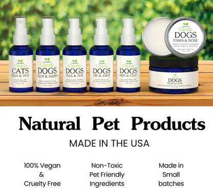 Pet owner applying natural tooth powder to dog toothbrush