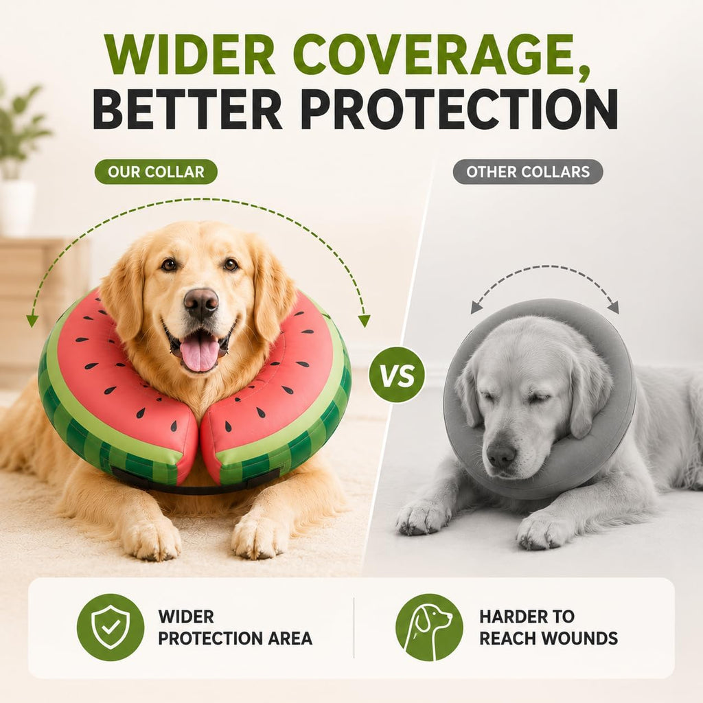 Soft donut pet e collar alternative in watermelon print design