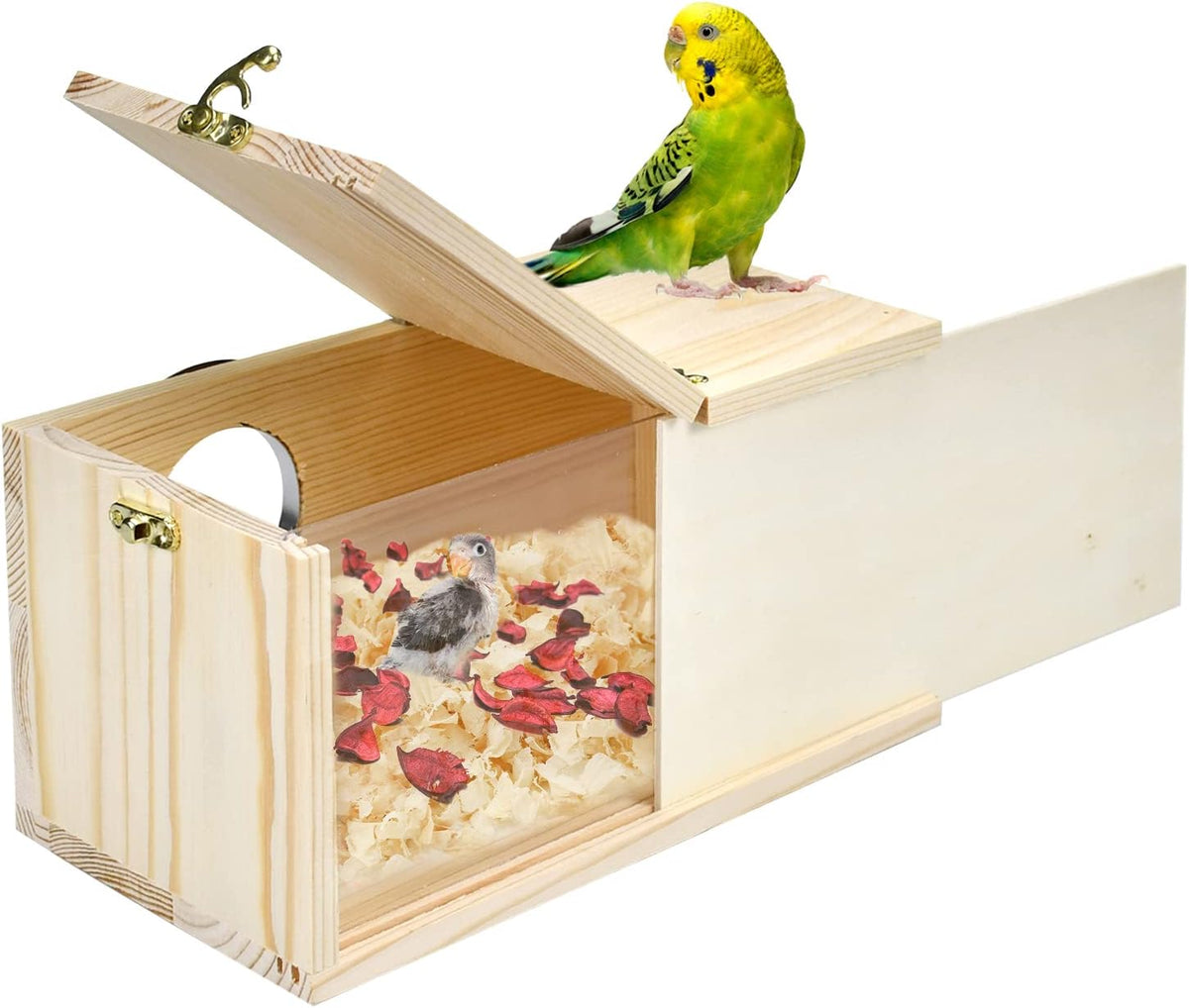 Parakeet Nesting Box Cockatiel Nesting Natural Pine Bird Nest Bird Breeding Box House Acrylic Transparent Bird Box with Detachable Wooden Board for Lovebirds Cockatiel Budgie Conure Parrot L - Image 7