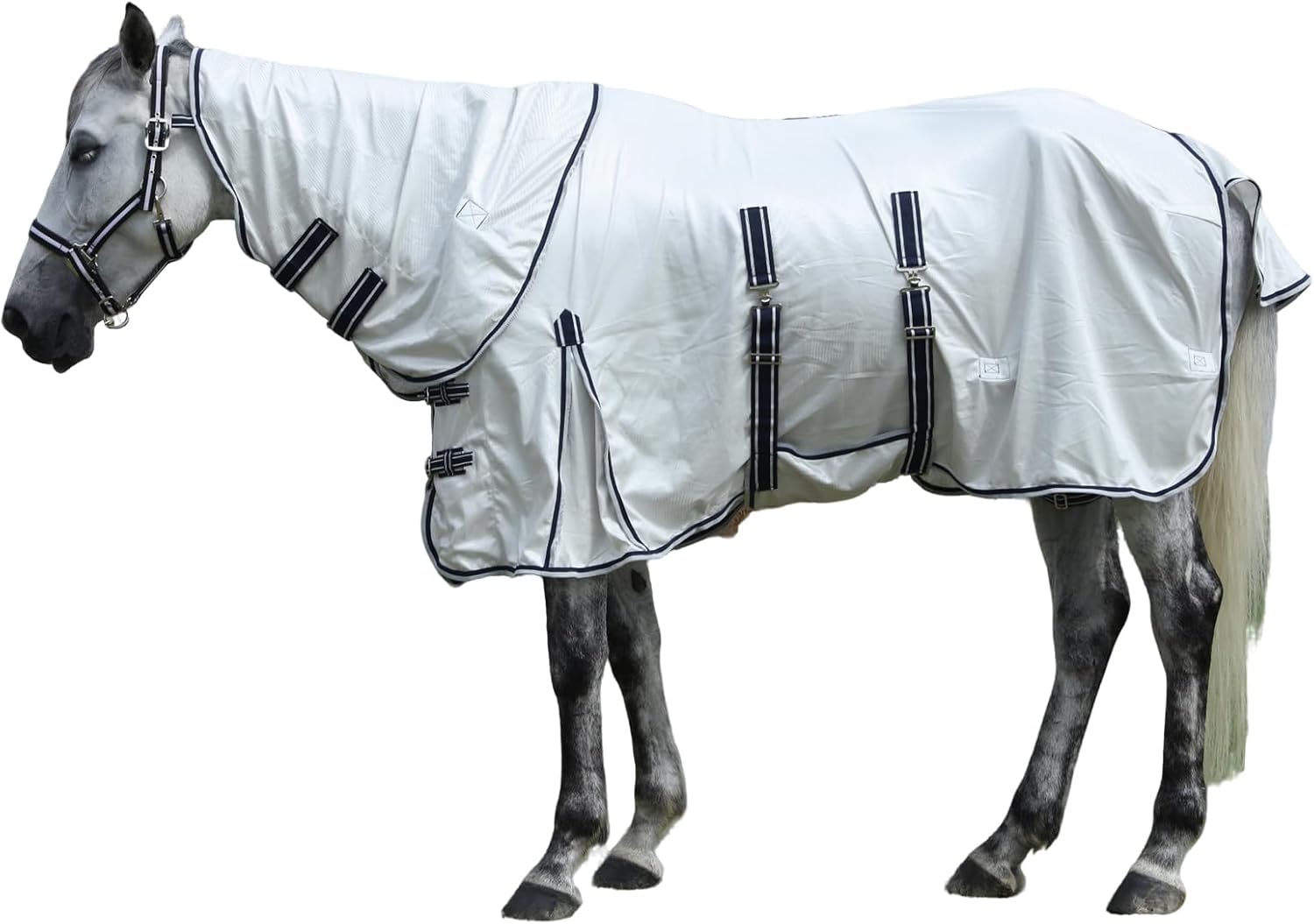 Full-body layout of the Gallopoff modular summer horse armor with all attachments visible.