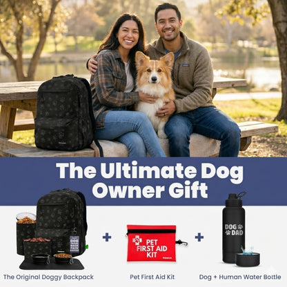 Rubyloo black paw print pet backpack being carried during an outdoor hiking trip.