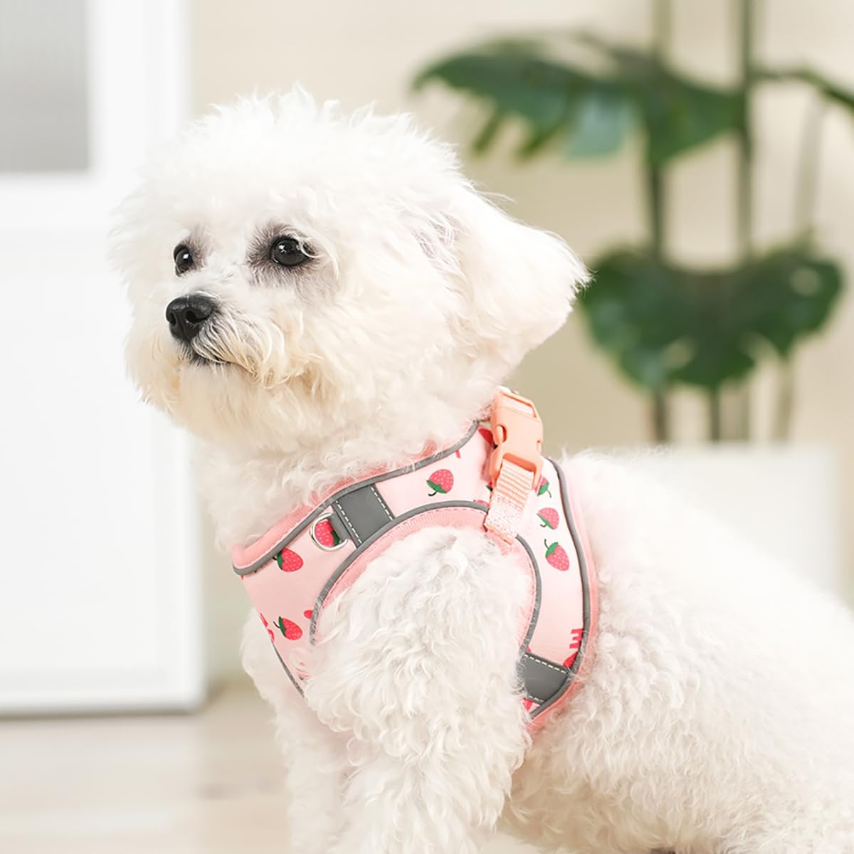 Flymind extra small dog harness showing front metal ring for identity tags and poop bags.