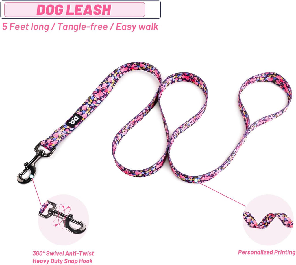 Model wearing QQPETS floral dog harness and matching leash