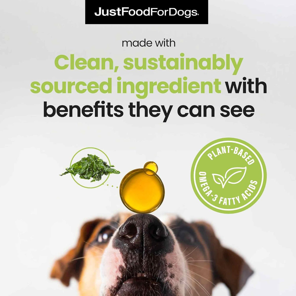 JustFoodForDogs human grade plant based omega oil for dog skin and coat
