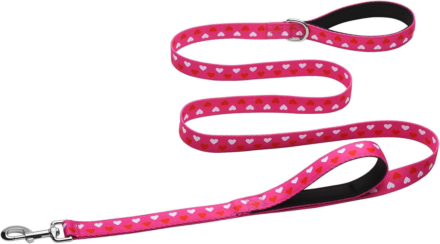 Hikiko Cute Girl Double Handle Dog Leash 6 Foot Padded Traffic Handles for Walking Training (Purple Floral, 6ft) - Image 11