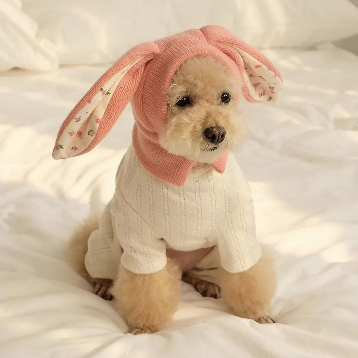 Rabbit Quiet Ears for Dogs & Cats - Knitted Dog Hats with Noise Protection & Warmth - Winter Hat & Head Wrap - Bunny Costume (Pink, Small) - Image 11