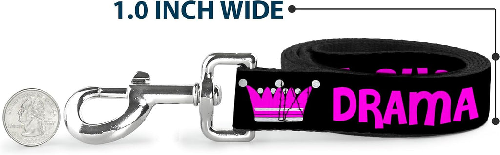 Pet leash displayed alongside matching accessories for style comparison