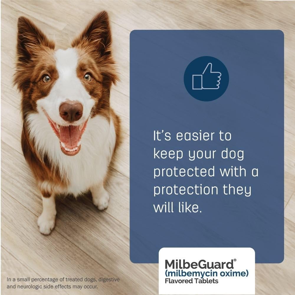 MilbeGuard flavored tablets for dogs and cats clinical pet care