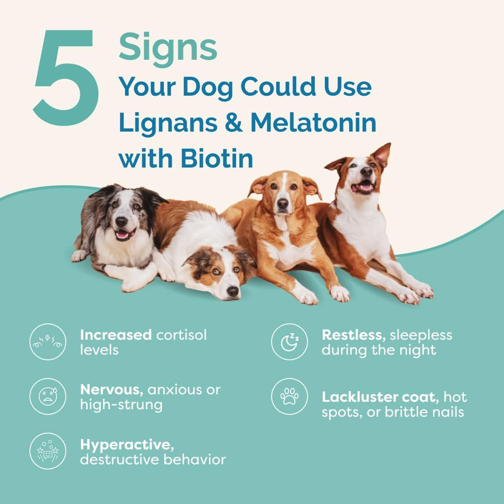 Beef flavored crushable tablets for large breed canine hormone and adrenal health